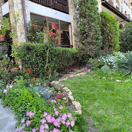 Dom-El Real Apartments 3 - سفيتي فلاس المظهر الخارجي الصورة